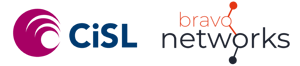 Bravo Networks Logo_PRIMARY-2