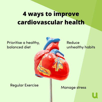 Insightful infographic focused on four ways to improve cardiovascular health