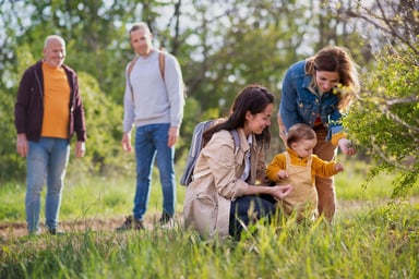 Finding the Best Family Health Insurance