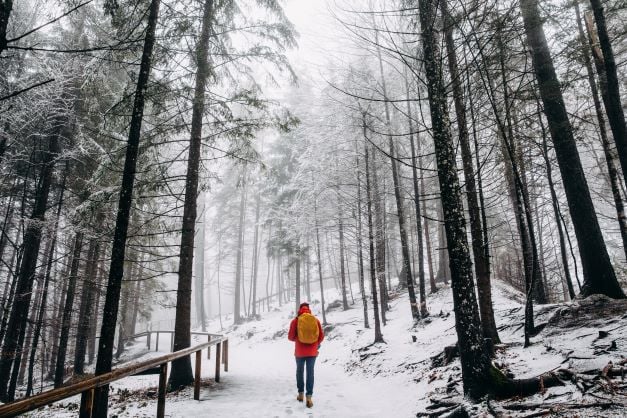 back-view-of-person-walking-in-beautiful-winter-mo-2022-11-03-03-38-43-utc