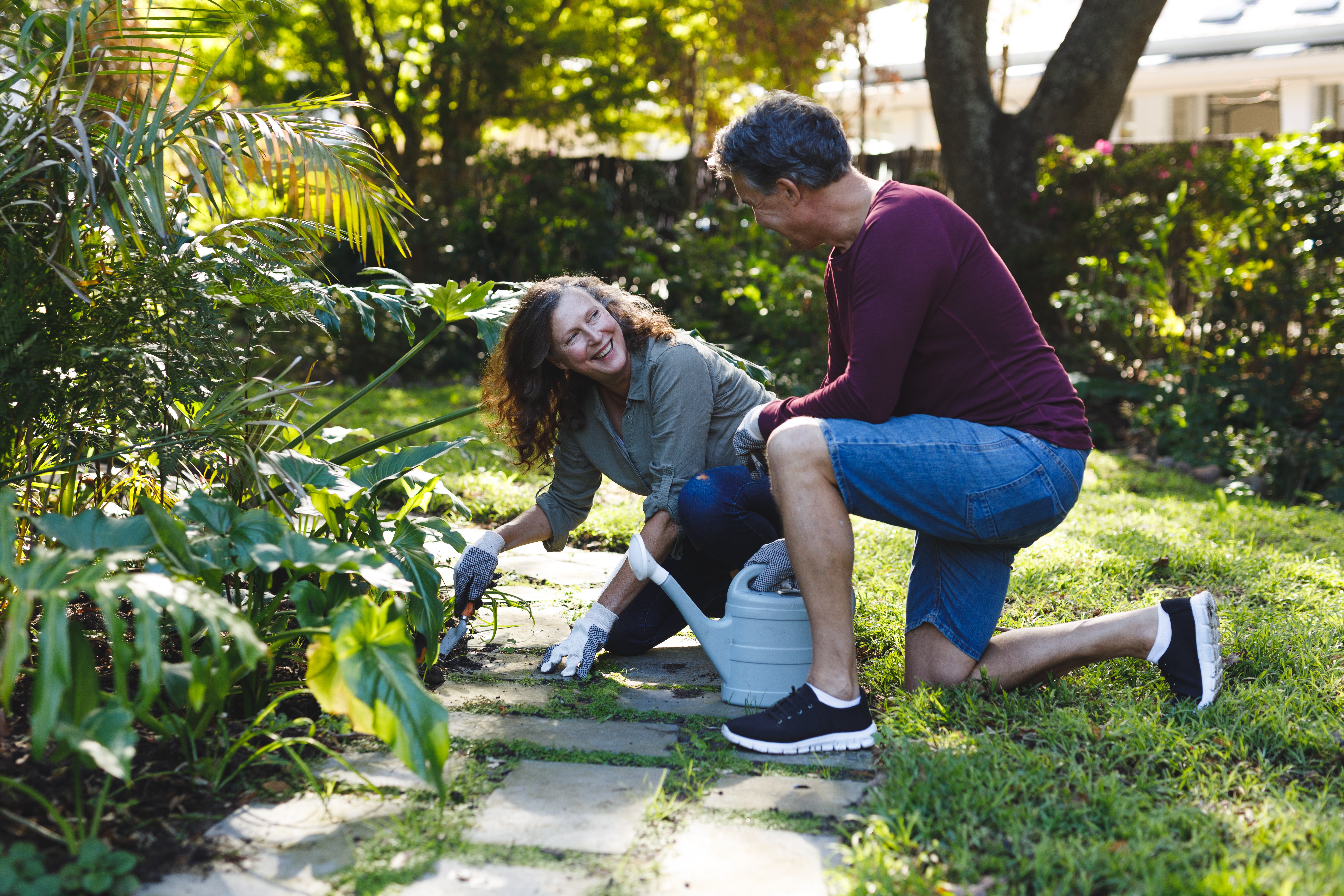 happy-senior-caucasian-couple-gardening-together-i-2022-01-18-23-46-51-utc