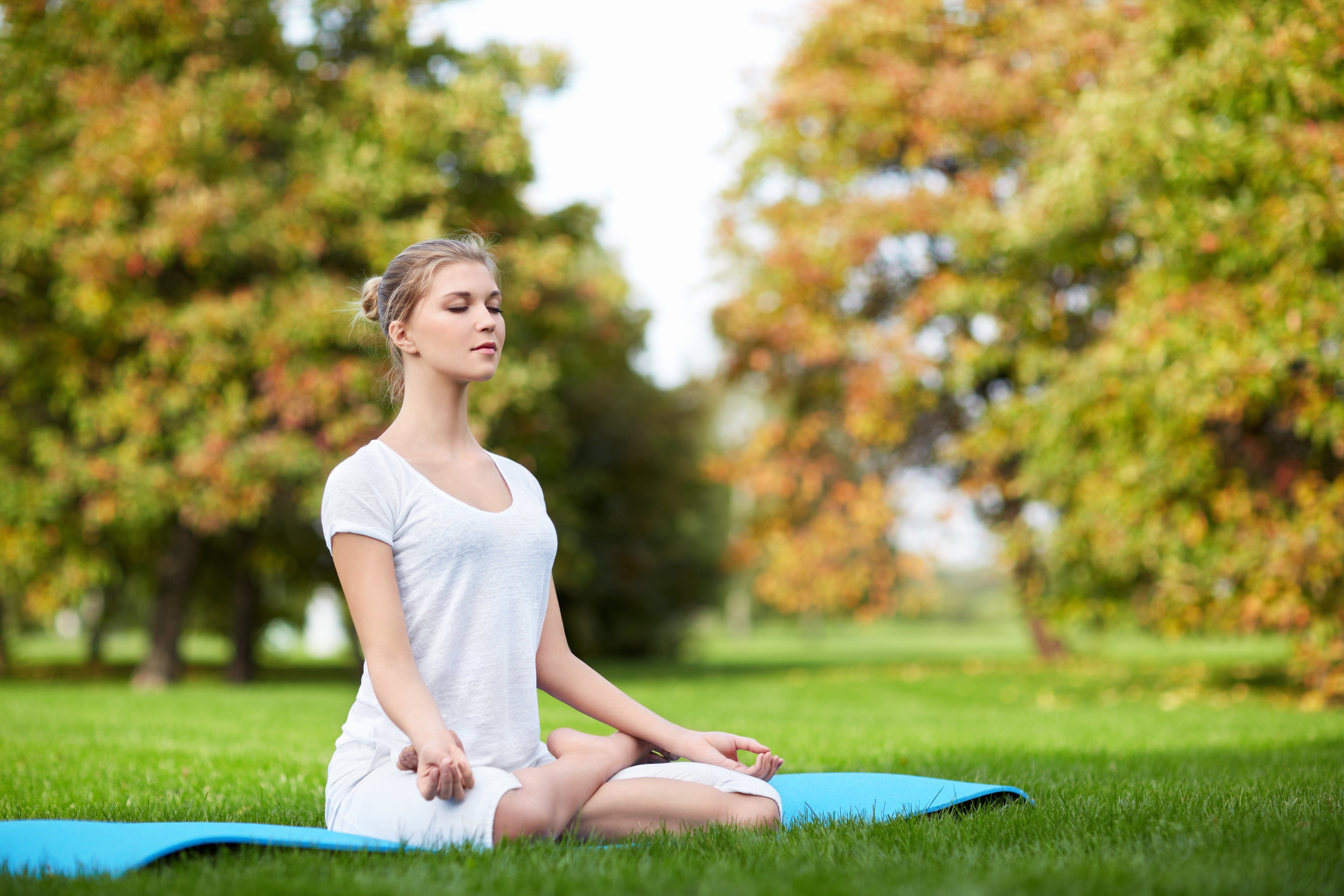yoga-2022-02-22-16-39-49-utc